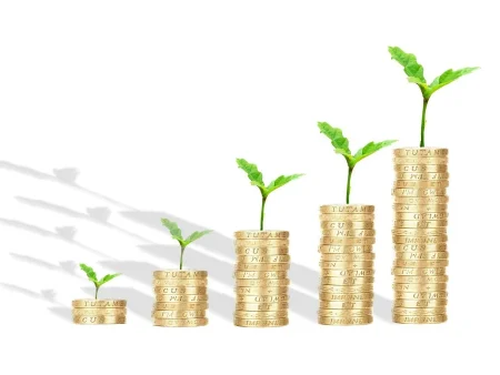 Business Loan 101: Choosing Between Term Loans, SBA Loans, and Lines of Credit