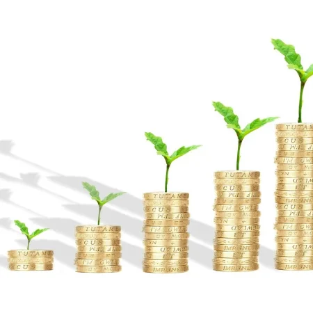 Business Loan 101: Choosing Between Term Loans, SBA Loans, and Lines of Credit