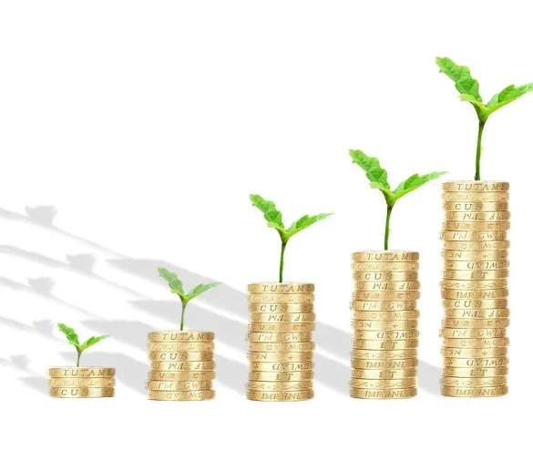 Business Loan 101: Choosing Between Term Loans, SBA Loans, and Lines of Credit
