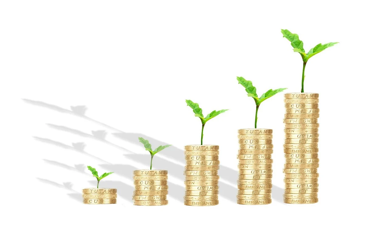 Business Loan 101: Choosing Between Term Loans, SBA Loans, and Lines of Credit